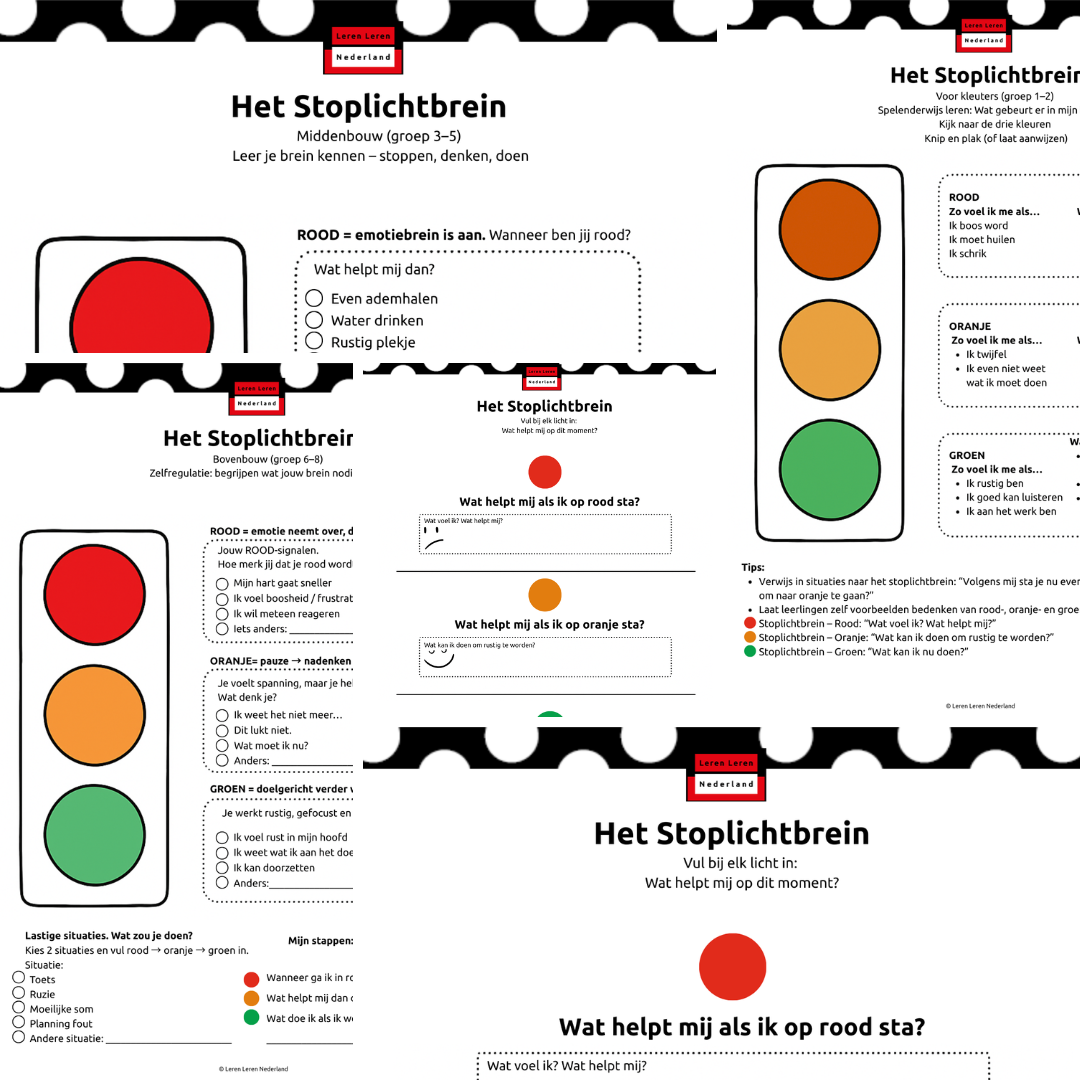Het stoplichtbrein